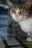 gal/cro 08/_thb_small-IMG_4877.JPG